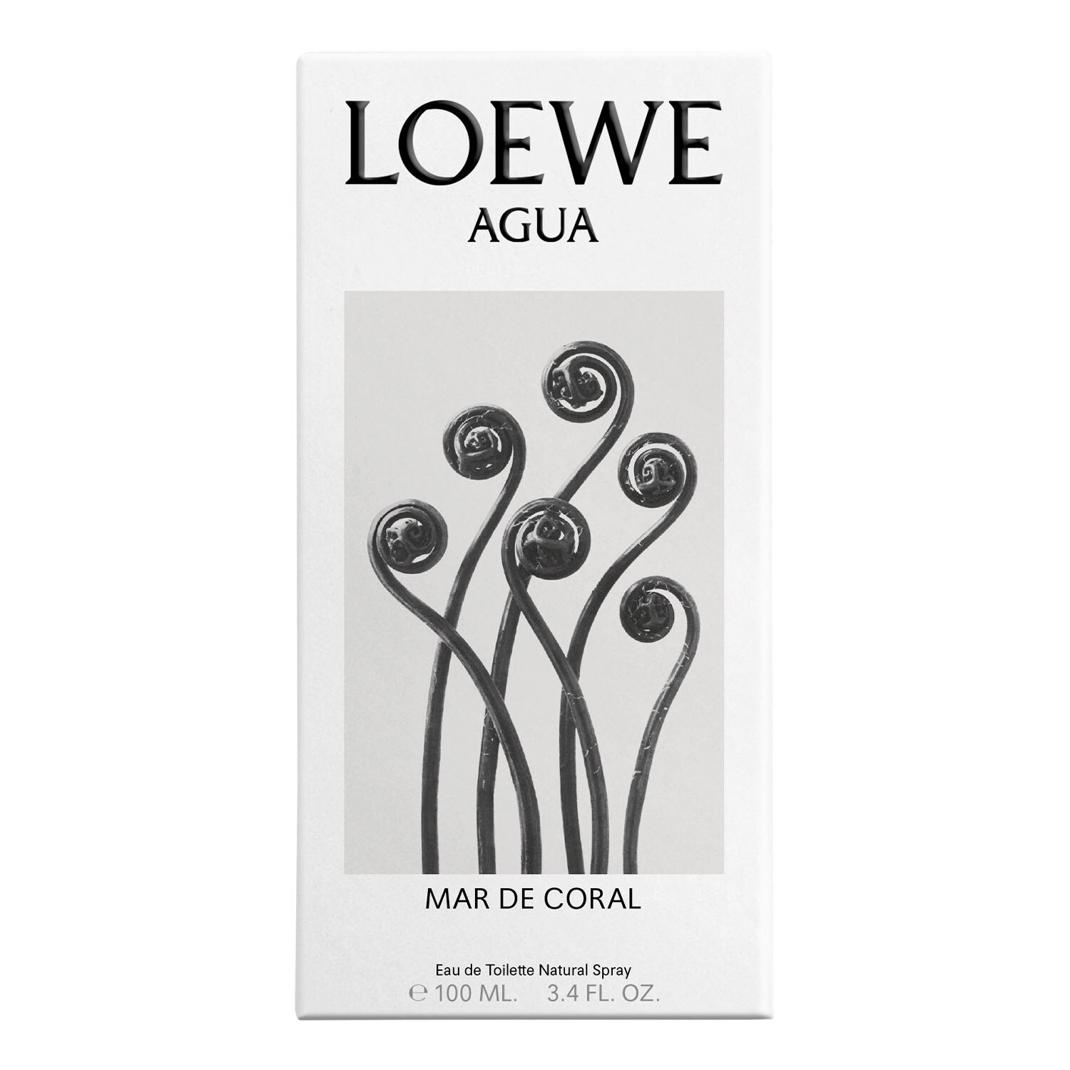 LOEWE AGUA MAR DE CORAL EAU DE TOILETTE